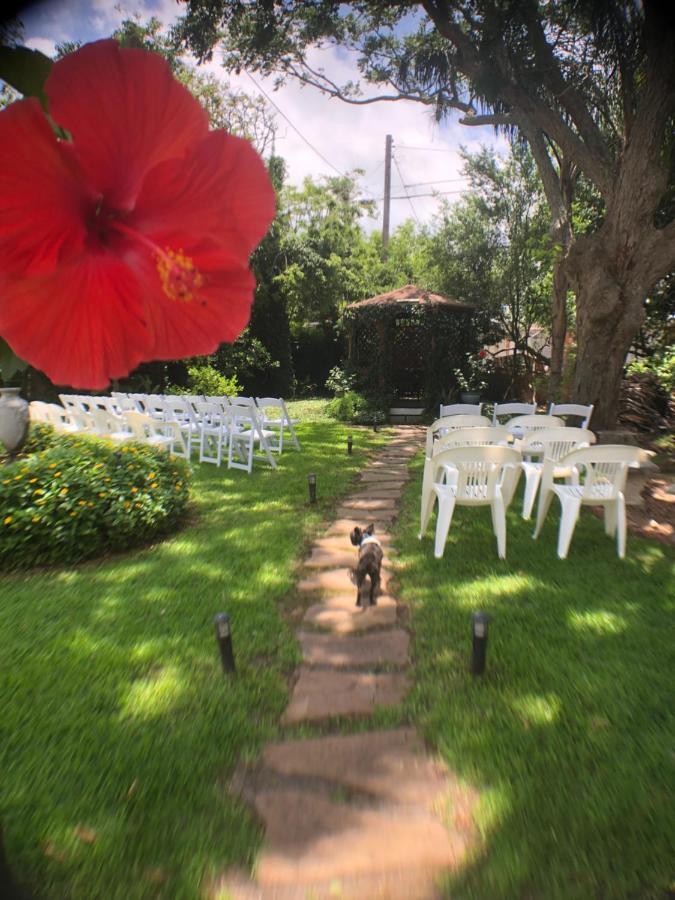 Avenue O Bed And Breakfast Galveston Dış mekan fotoğraf